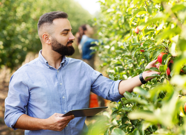 PRODUCT MANAGER DELLA SOSTENIBILITÀ DELL’IMPRESA VITIVINICOLA E AGROALIMENTARE