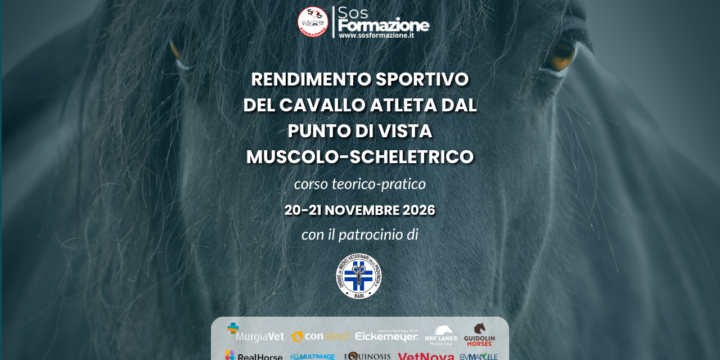 Rendimento Sportivo del Cavallo Atleta: corso teorico-pratico a Bari con il Prof. Dr. Antonio Cruz Madorrán
